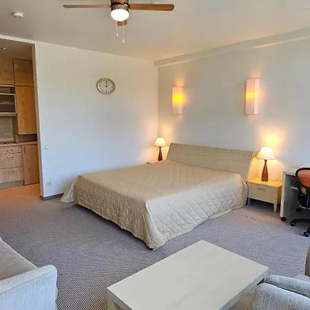 Viola Паланга