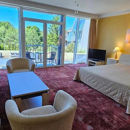 Viola Паланга