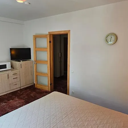 Viola Паланга