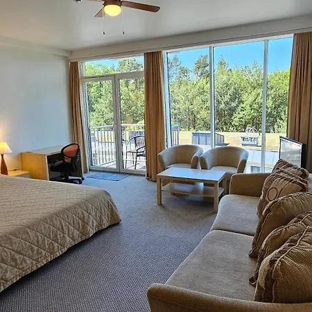 Viola Паланга